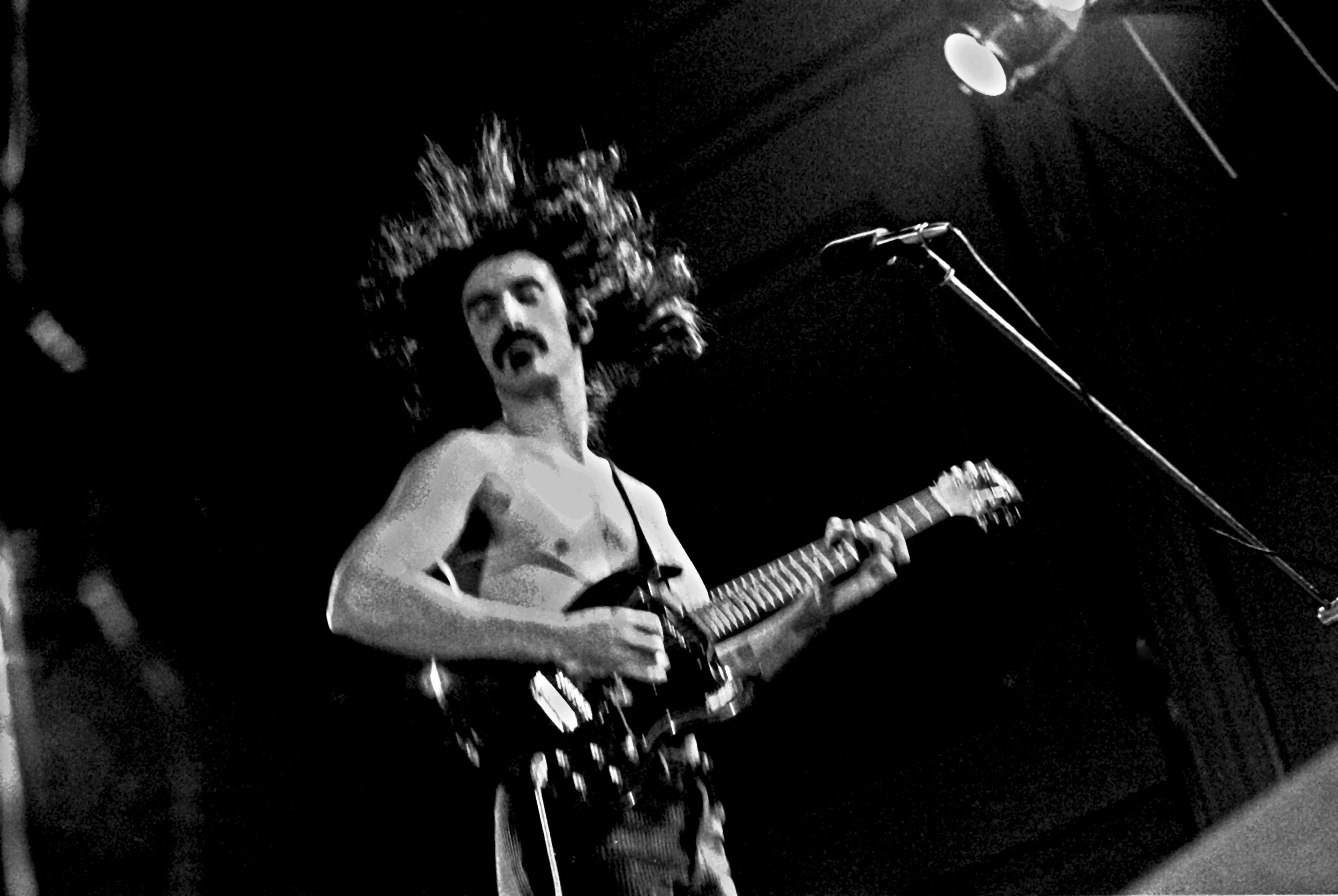 Frank Zappa in glory