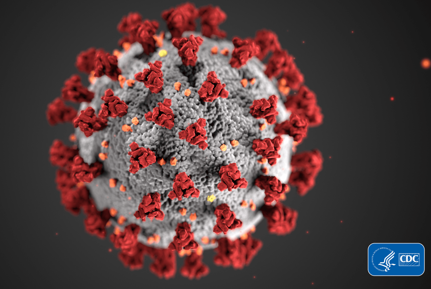 coronavirus