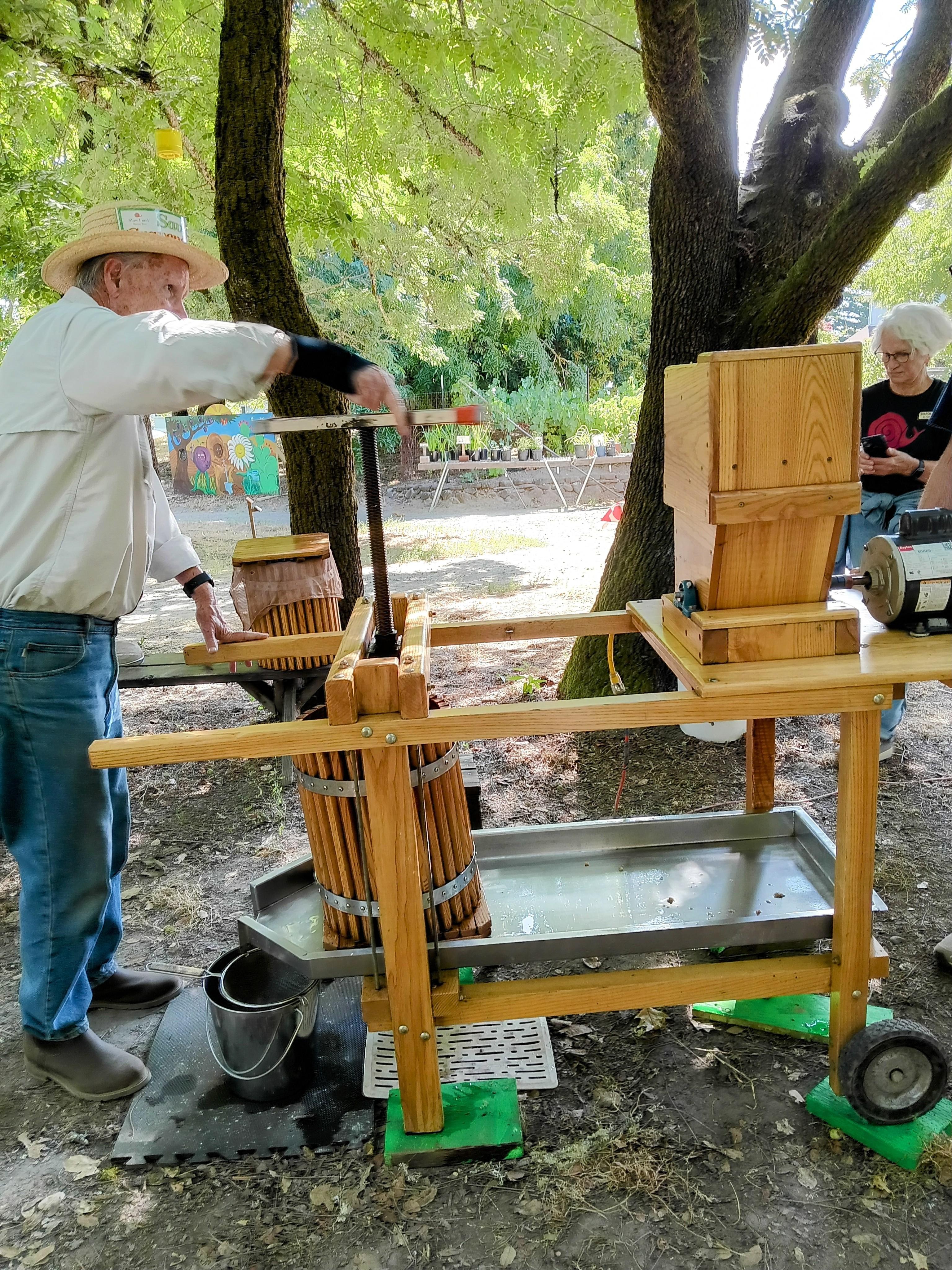 IMG 20240803 apple 2