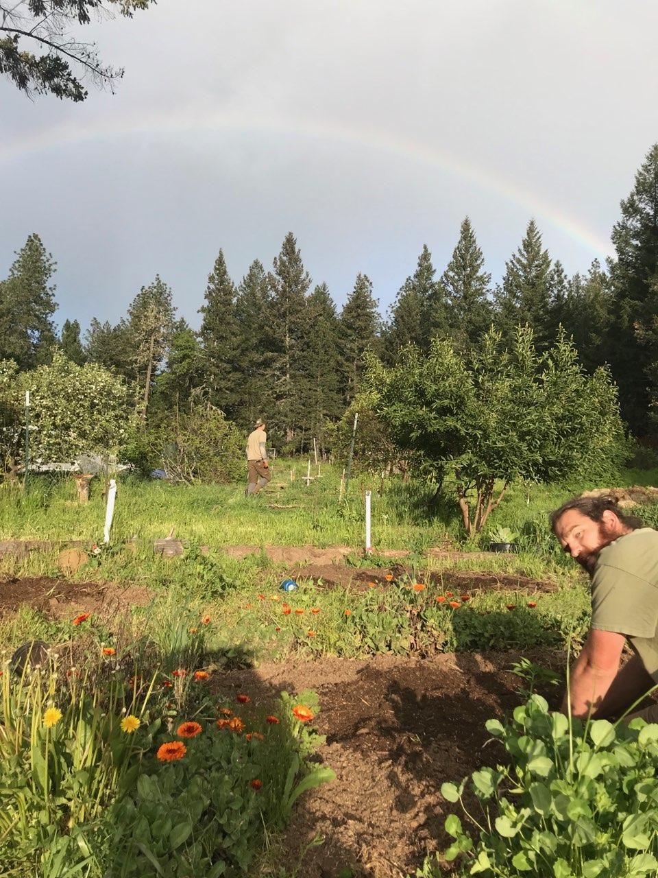 fire mendo WorkersHeartrockMountainFarm