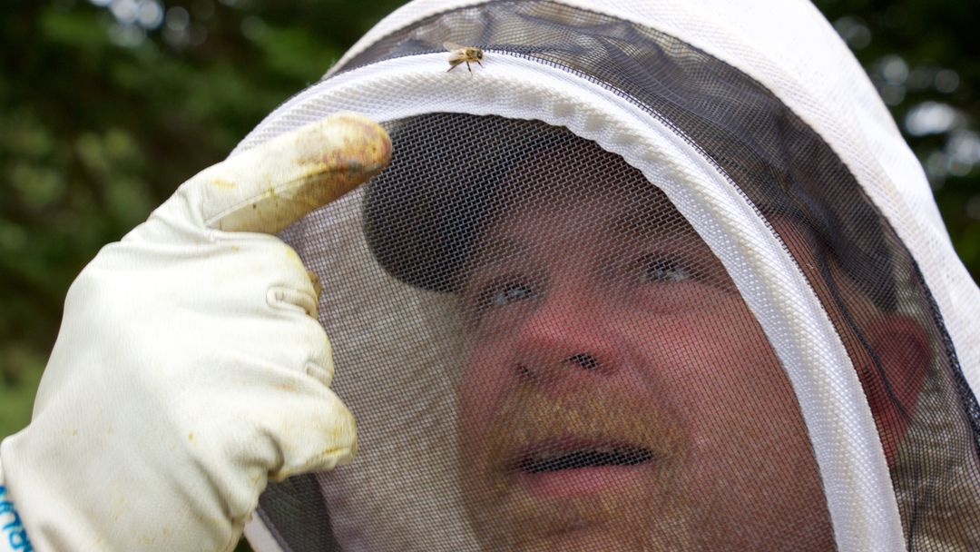 Saving Heirlooms: Honey Bees, Seed Banks and Crop Diversity