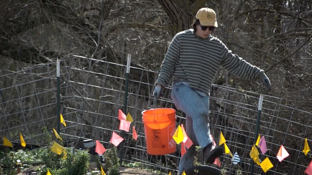 Riparian Restoration