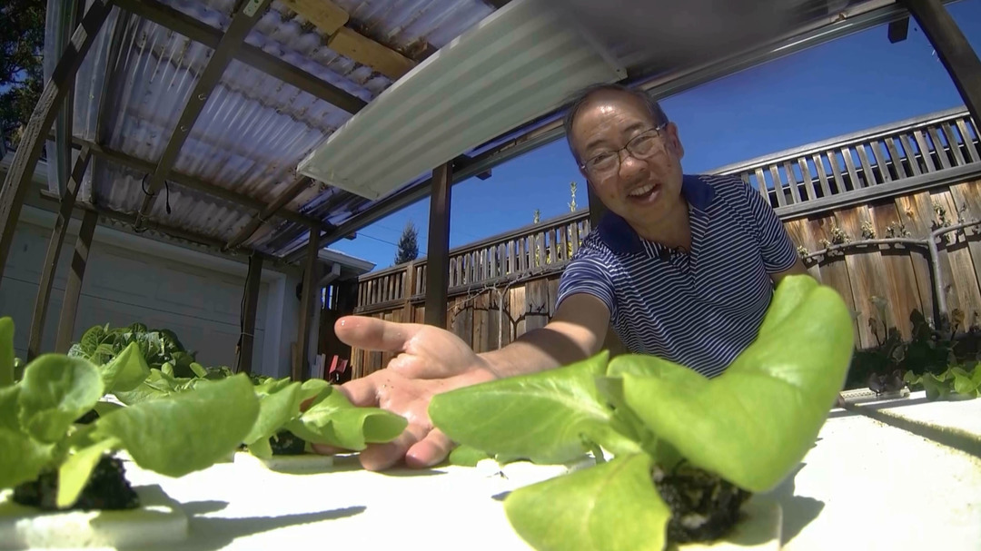 Connect the Bay: Hydroponics Bruce Gee