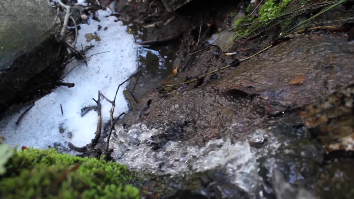 Keep the River Running