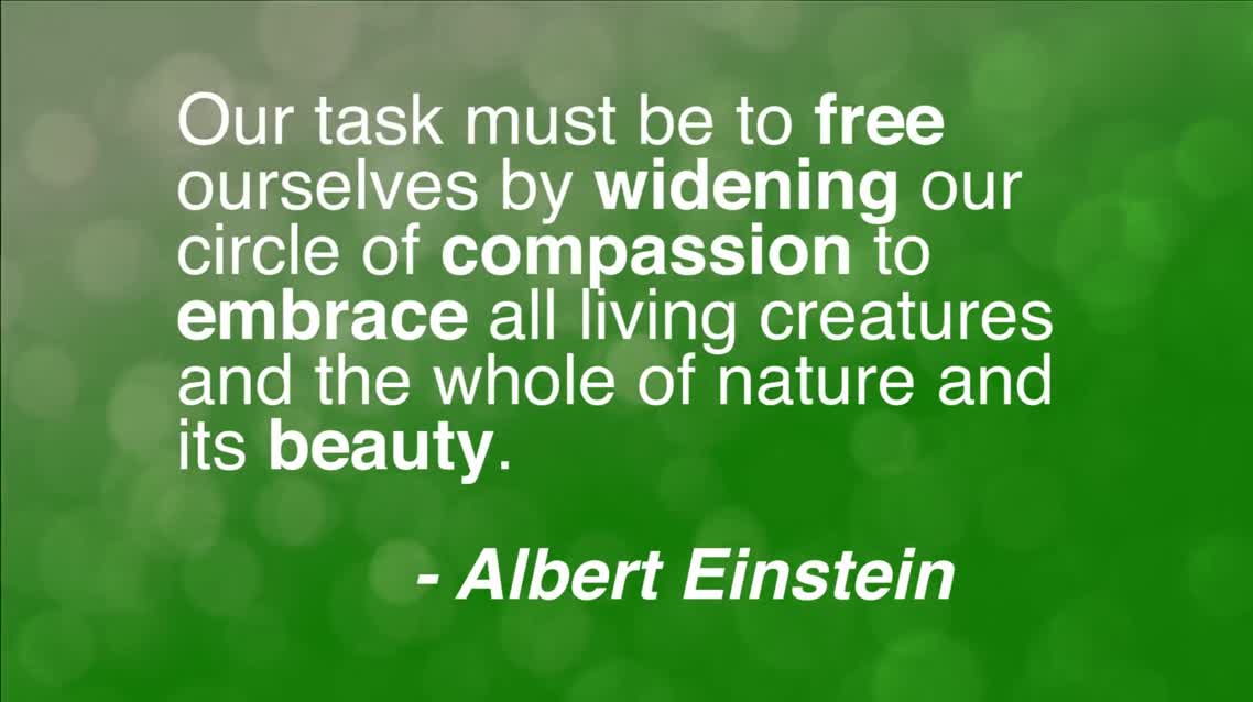 Our task must be to free