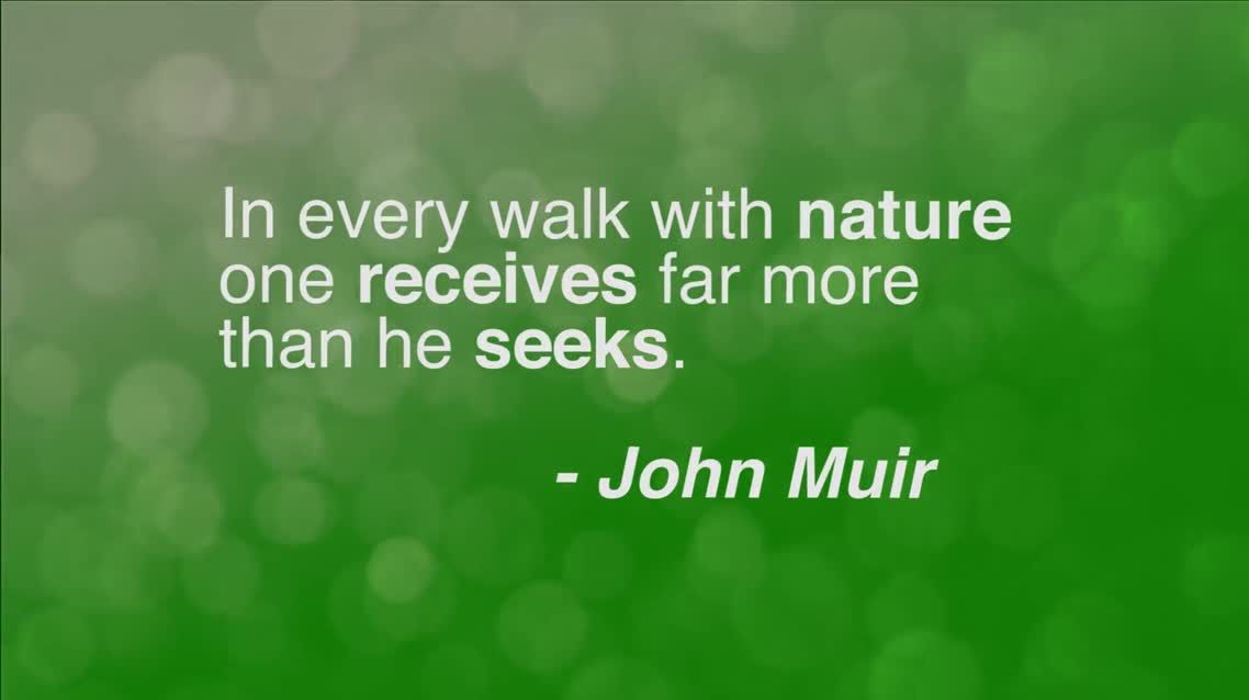 In every walk with nature