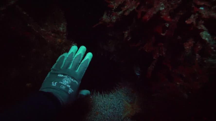 Bay Area Bountiful: Science To The Rescue