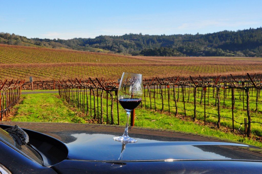 7176 Wine Road Promo