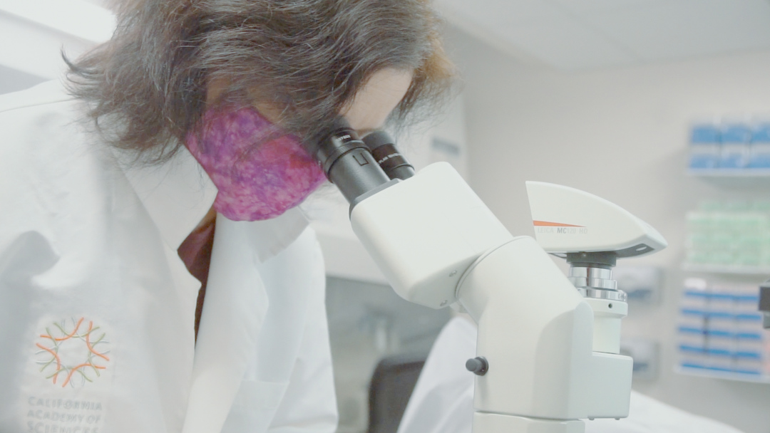 Scientists to the Rescue Short Story