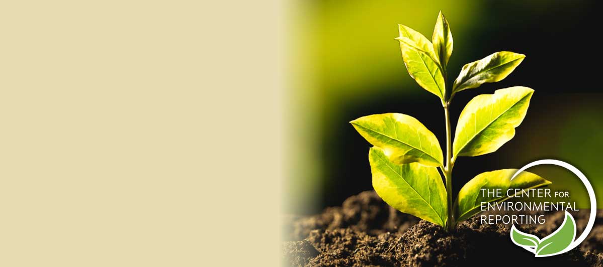The Center for Environmental Reporting
